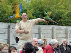 101PARC AUX OISEAUX DANS L AIN 2016 3_000041